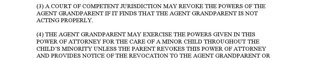 Georgia Minor Child Power of Attorney